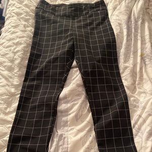 NWT Hue pants
